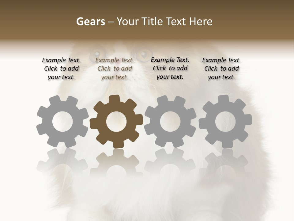 A Brown And White Cat Sitting On Top Of A Table PowerPoint Template