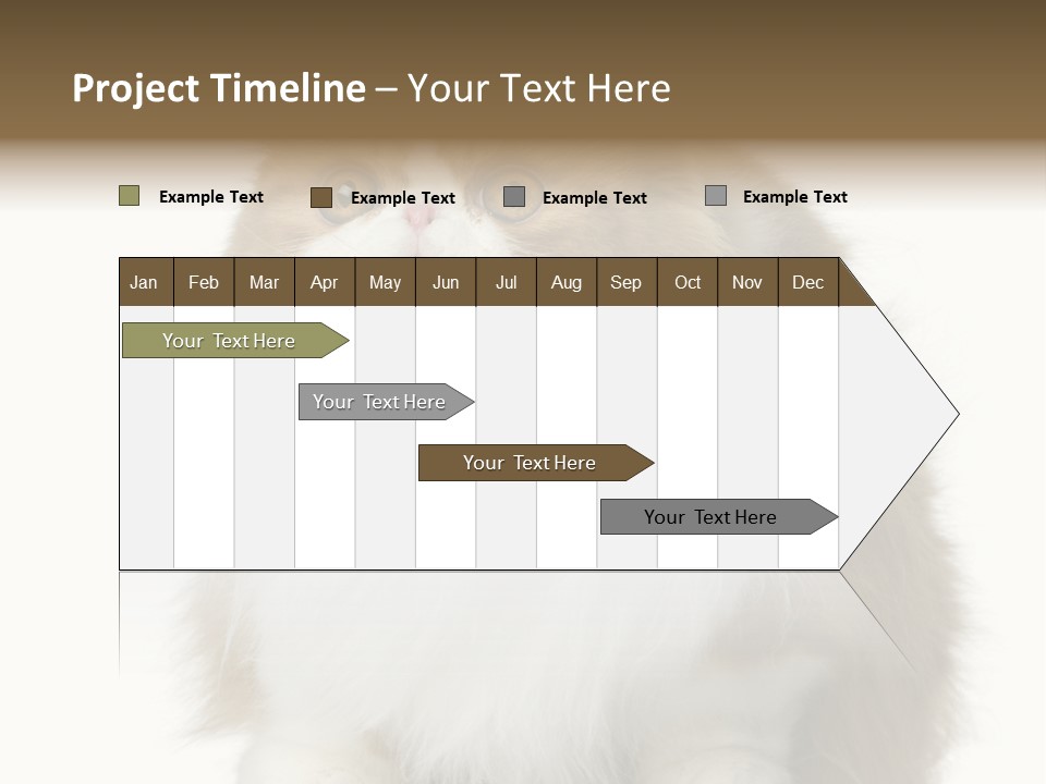 A Brown And White Cat Sitting On Top Of A Table PowerPoint Template