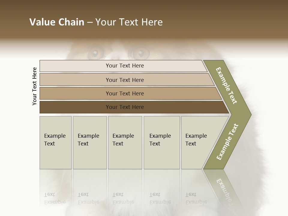 A Brown And White Cat Sitting On Top Of A Table PowerPoint Template