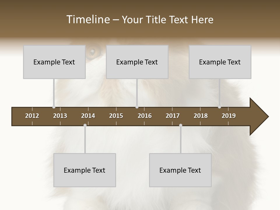 A Brown And White Cat Sitting On Top Of A Table PowerPoint Template