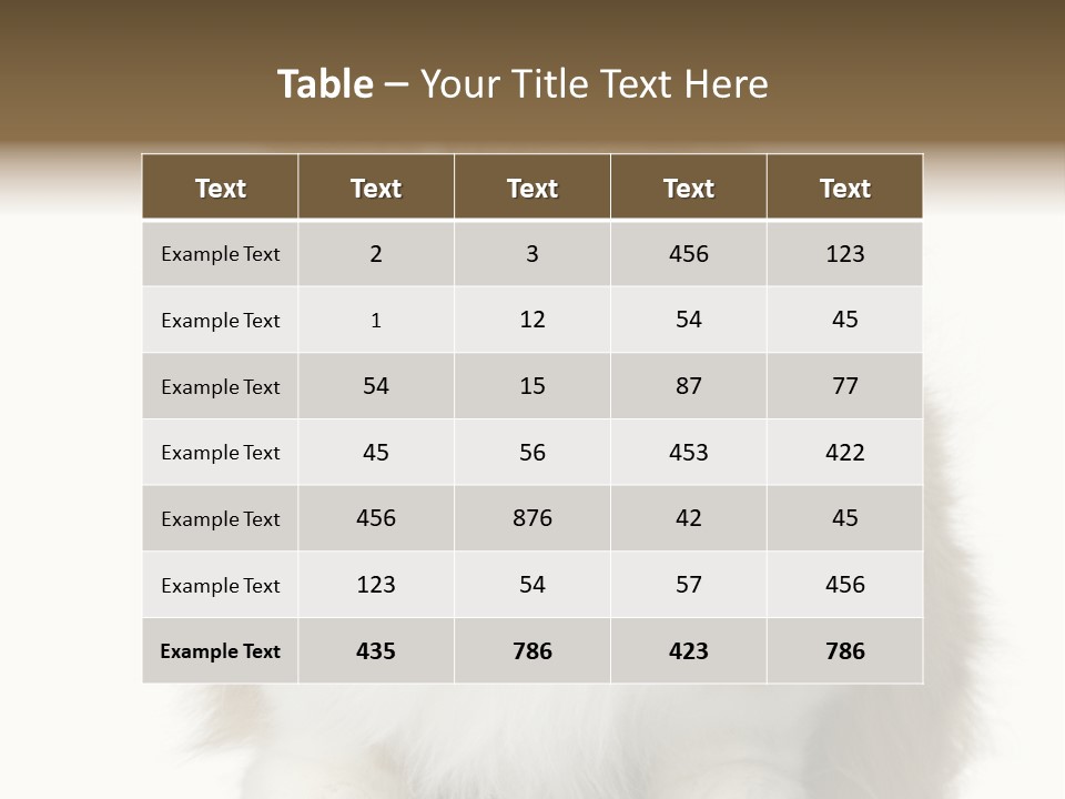 A Brown And White Cat Sitting On Top Of A Table PowerPoint Template