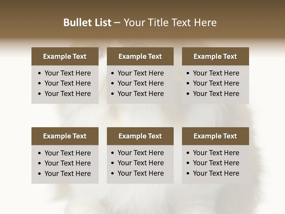 A Brown And White Cat Sitting On Top Of A Table PowerPoint Template