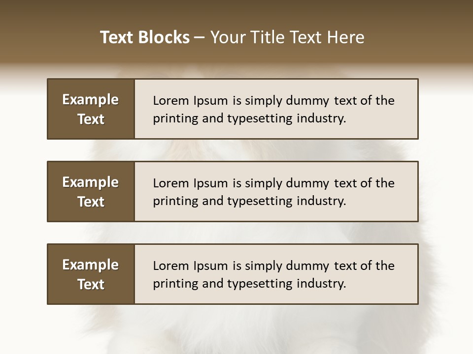A Brown And White Cat Sitting On Top Of A Table PowerPoint Template