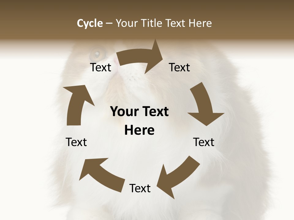 A Brown And White Cat Sitting On Top Of A Table PowerPoint Template