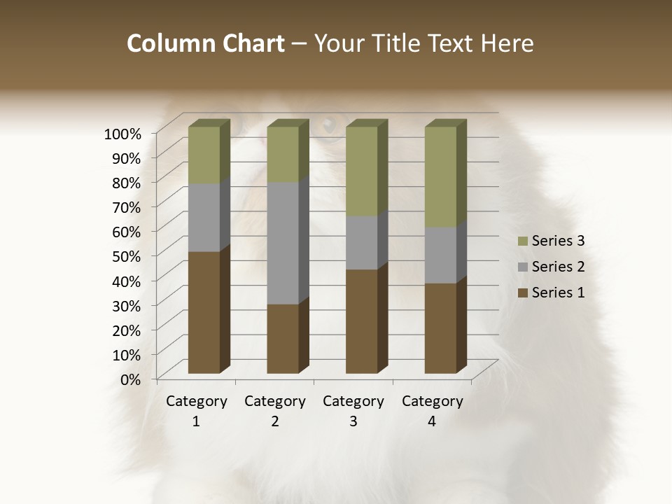 A Brown And White Cat Sitting On Top Of A Table PowerPoint Template
