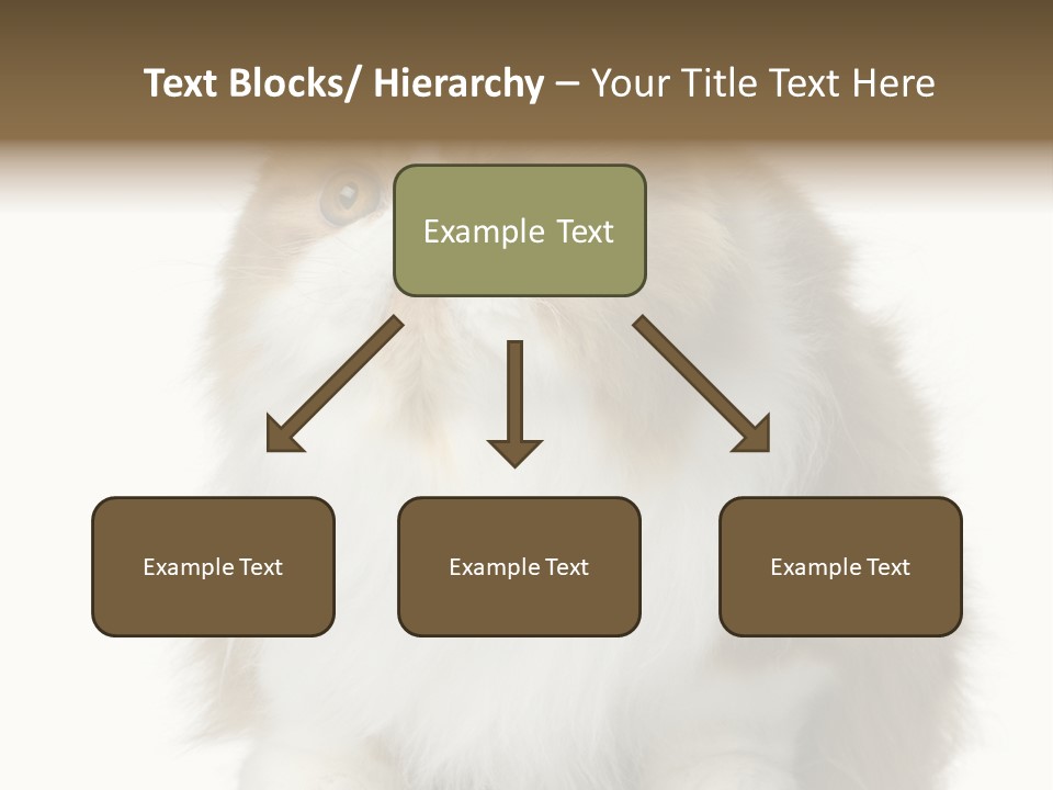 A Brown And White Cat Sitting On Top Of A Table PowerPoint Template