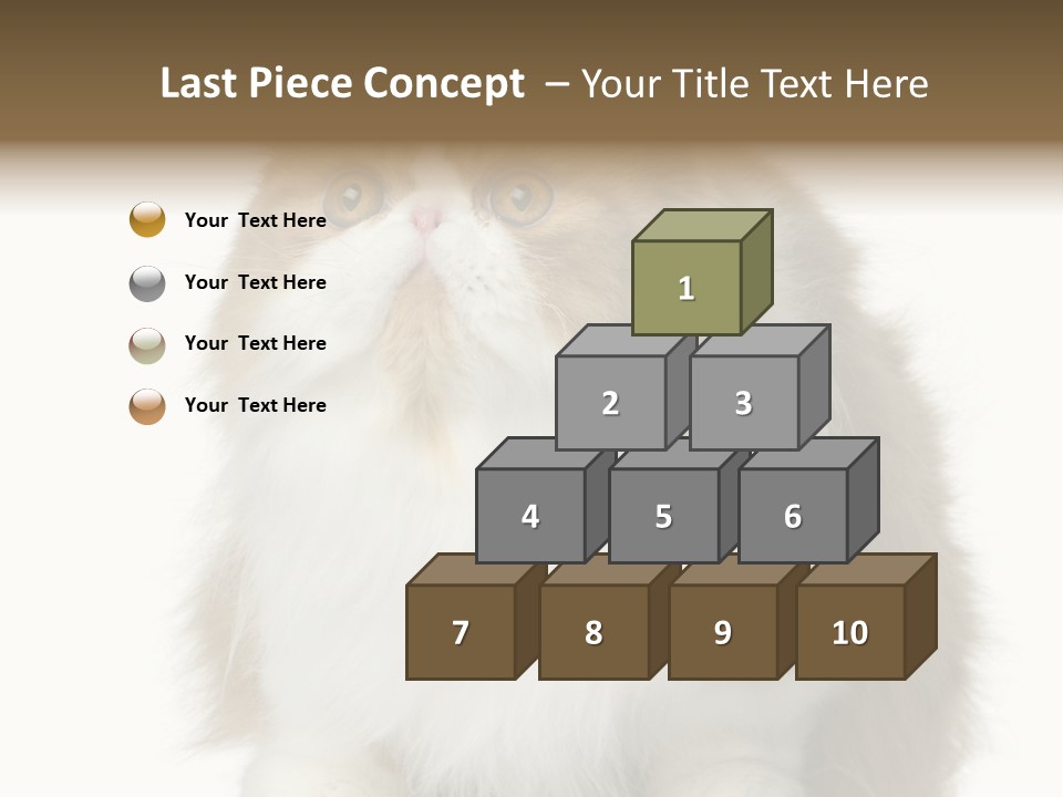 A Brown And White Cat Sitting On Top Of A Table PowerPoint Template