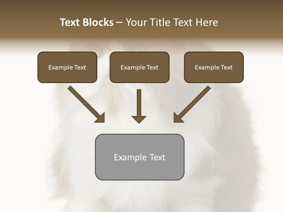 A Brown And White Cat Sitting On Top Of A Table PowerPoint Template