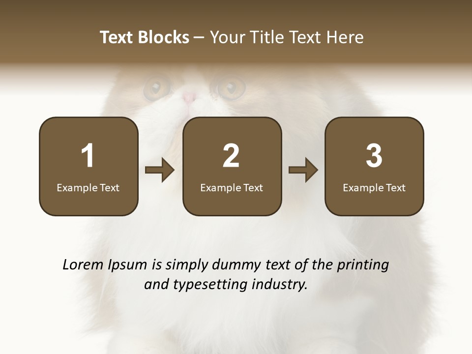 A Brown And White Cat Sitting On Top Of A Table PowerPoint Template