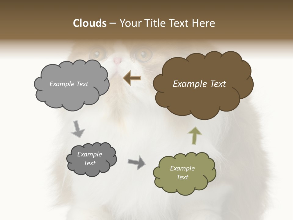A Brown And White Cat Sitting On Top Of A Table PowerPoint Template