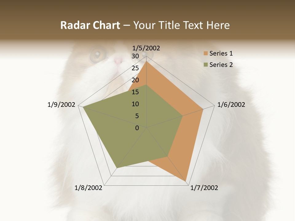 A Brown And White Cat Sitting On Top Of A Table PowerPoint Template