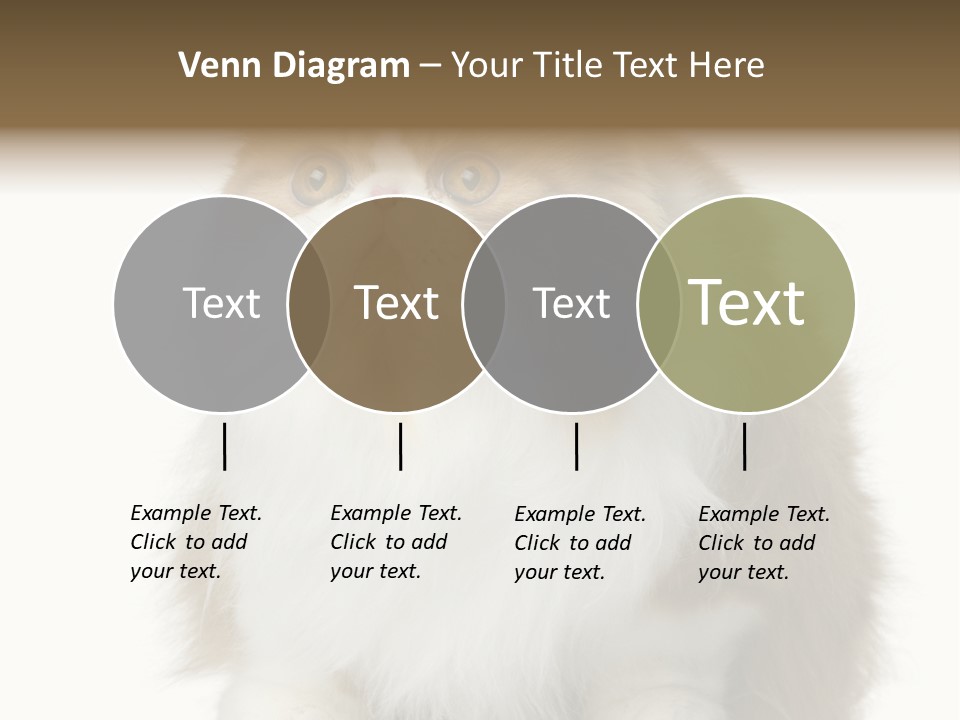 A Brown And White Cat Sitting On Top Of A Table PowerPoint Template