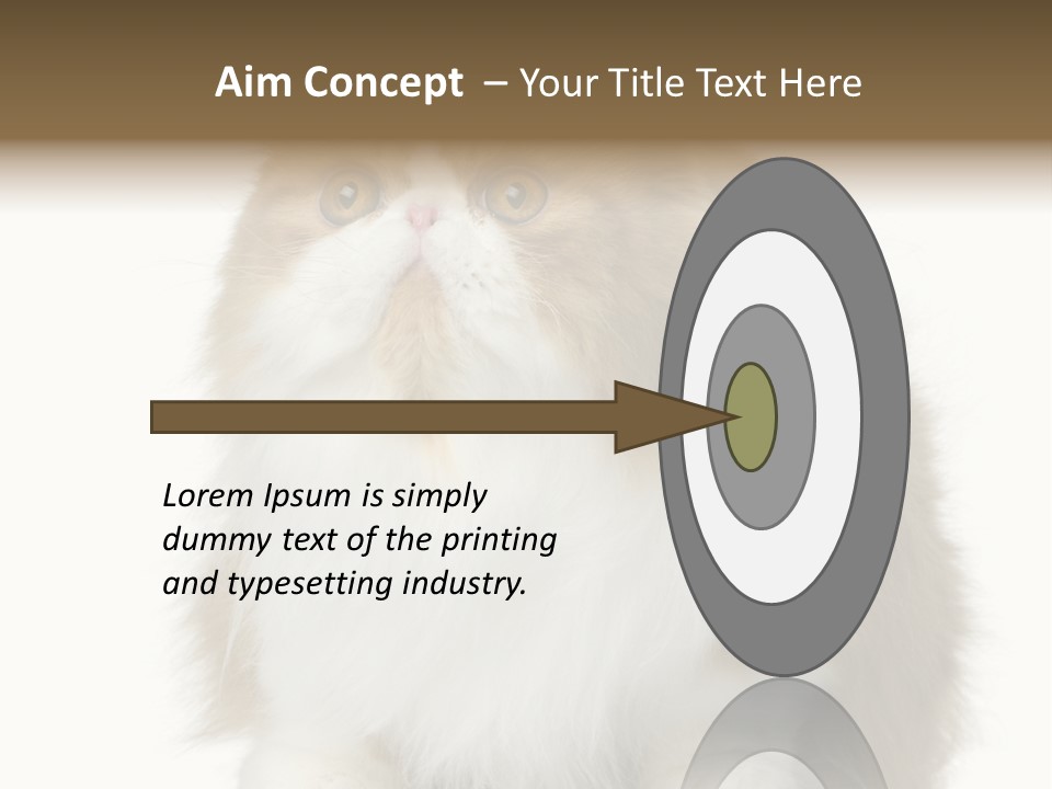 A Brown And White Cat Sitting On Top Of A Table PowerPoint Template
