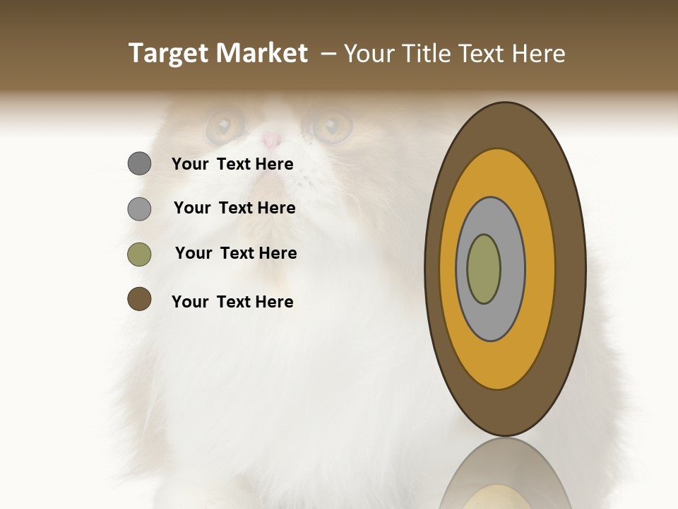 A Brown And White Cat Sitting On Top Of A Table PowerPoint Template