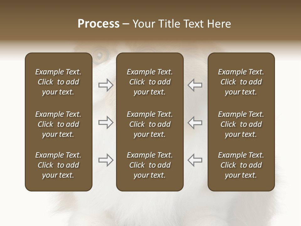 A Brown And White Cat Sitting On Top Of A Table PowerPoint Template