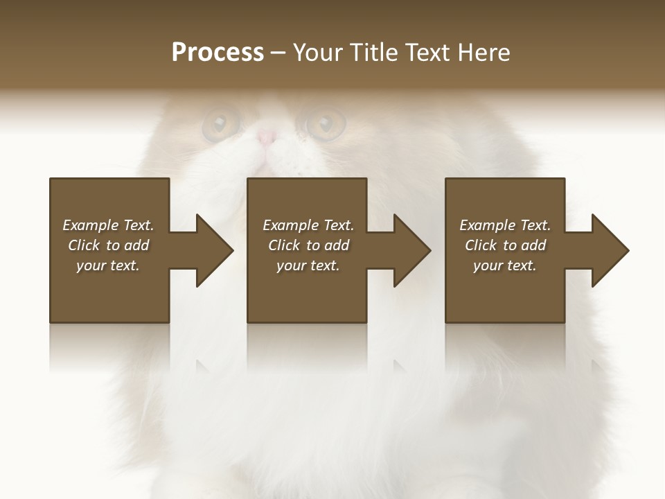 A Brown And White Cat Sitting On Top Of A Table PowerPoint Template