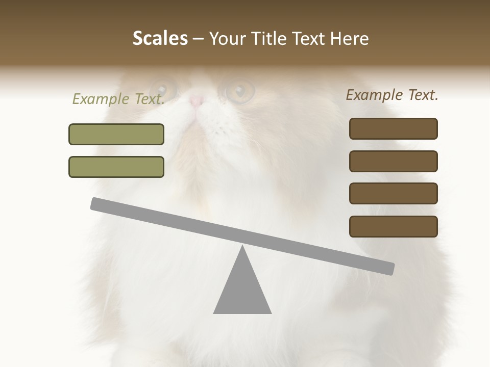 A Brown And White Cat Sitting On Top Of A Table PowerPoint Template