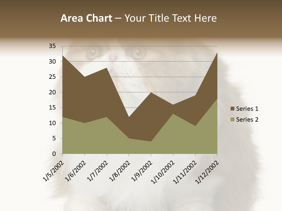 A Brown And White Cat Sitting On Top Of A Table PowerPoint Template