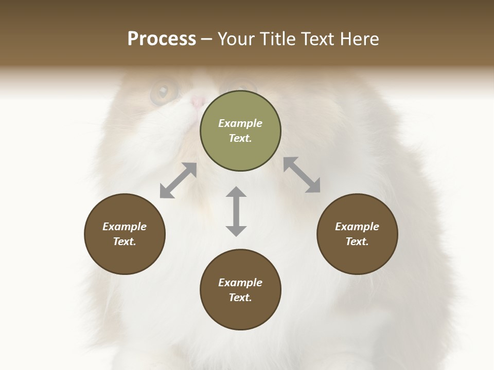 A Brown And White Cat Sitting On Top Of A Table PowerPoint Template