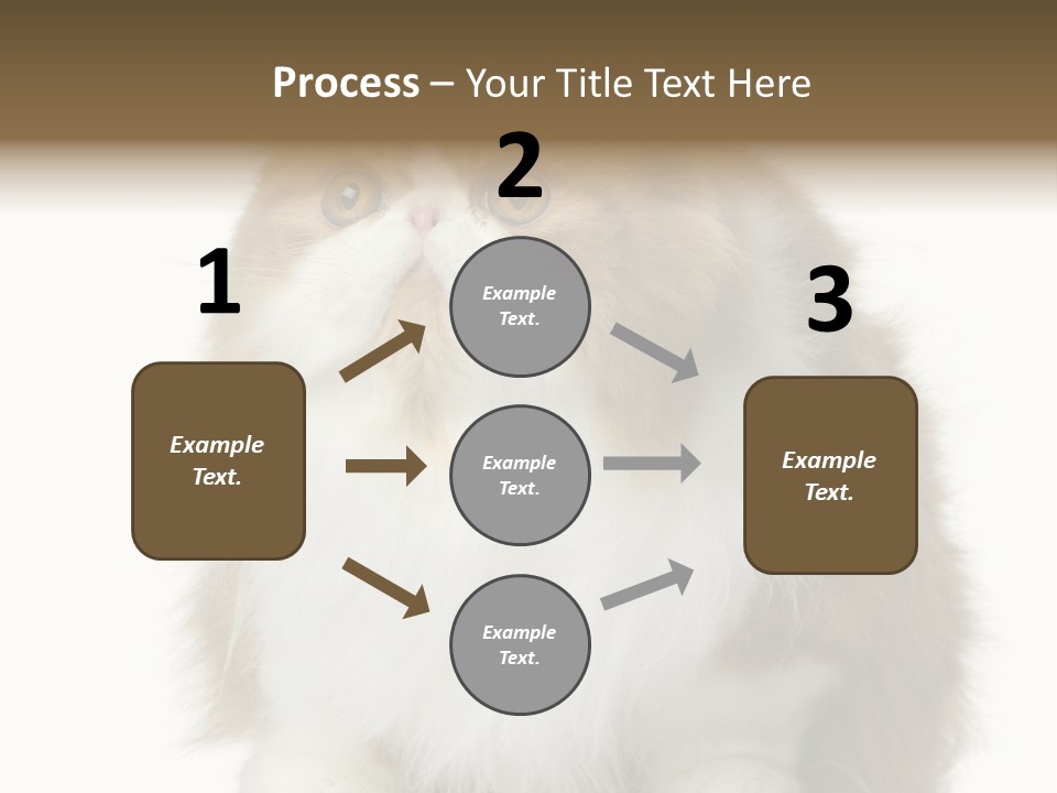 A Brown And White Cat Sitting On Top Of A Table PowerPoint Template