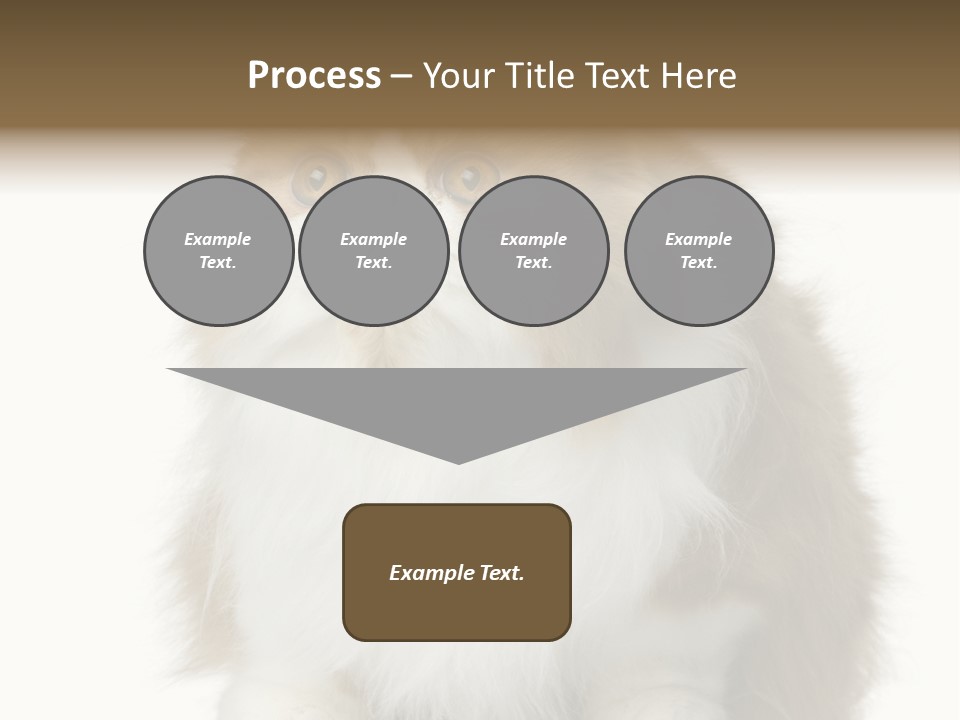 A Brown And White Cat Sitting On Top Of A Table PowerPoint Template