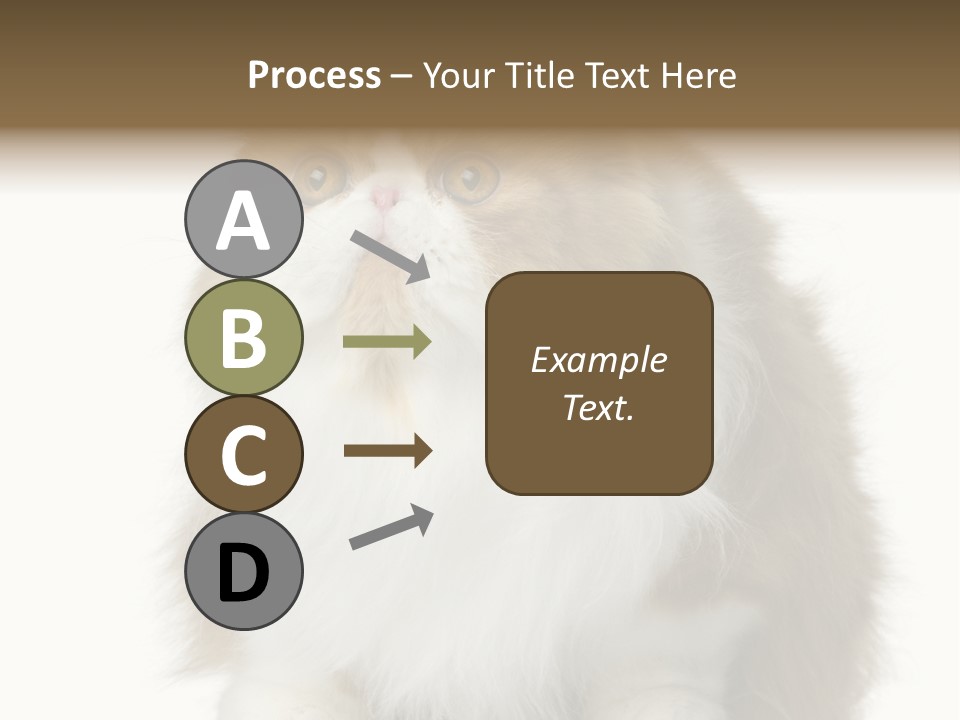 A Brown And White Cat Sitting On Top Of A Table PowerPoint Template