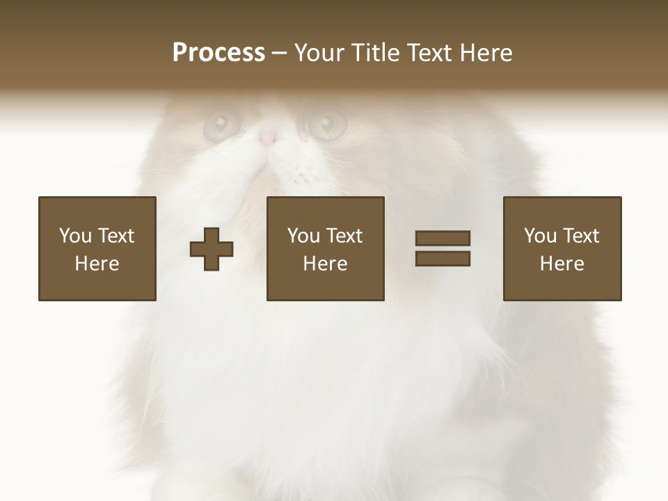 A Brown And White Cat Sitting On Top Of A Table PowerPoint Template