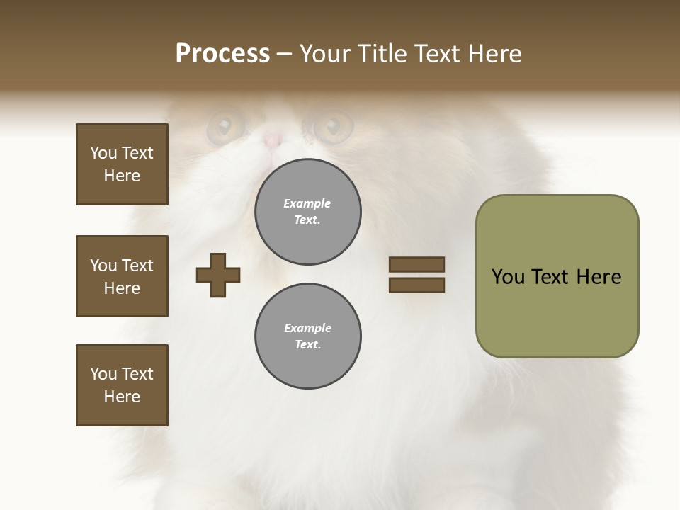 A Brown And White Cat Sitting On Top Of A Table PowerPoint Template