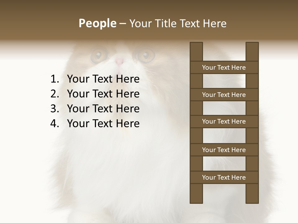 A Brown And White Cat Sitting On Top Of A Table PowerPoint Template
