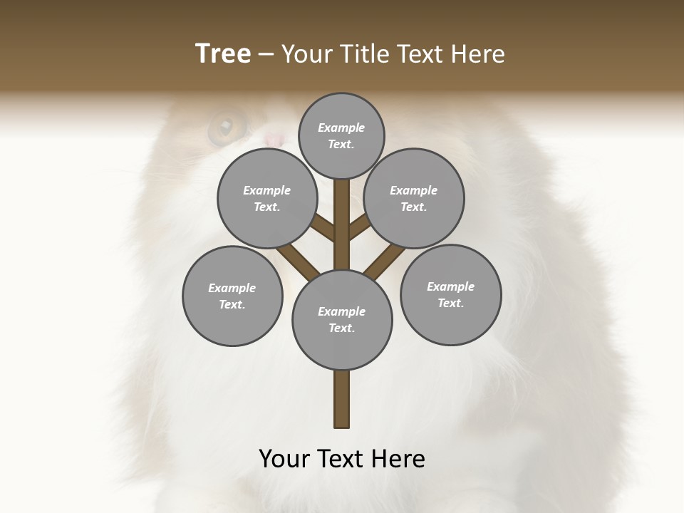 A Brown And White Cat Sitting On Top Of A Table PowerPoint Template