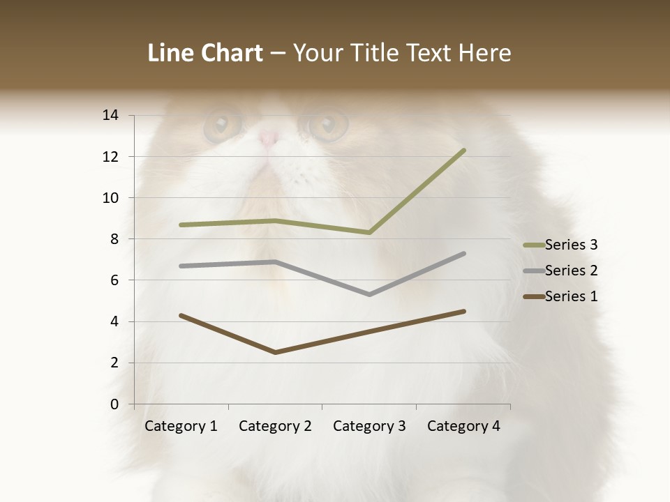 A Brown And White Cat Sitting On Top Of A Table PowerPoint Template