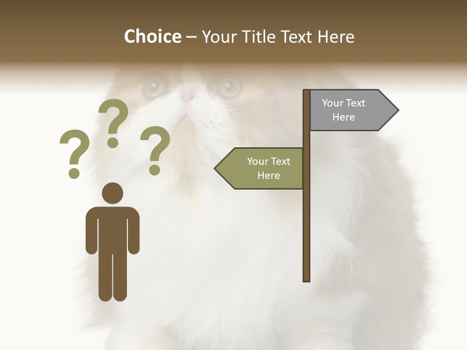 A Brown And White Cat Sitting On Top Of A Table PowerPoint Template