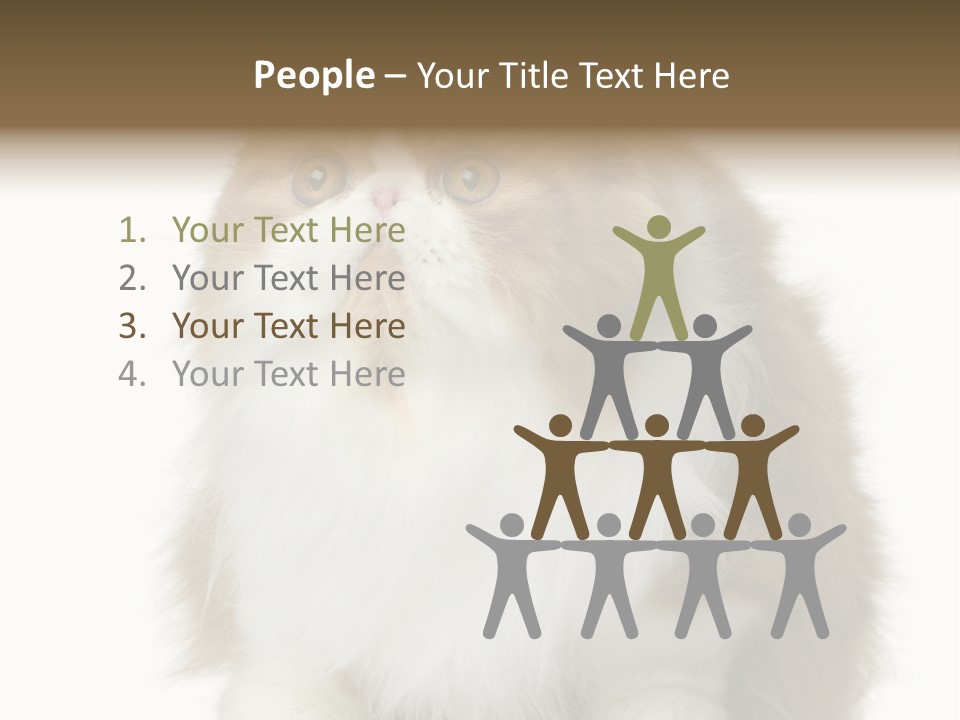 A Brown And White Cat Sitting On Top Of A Table PowerPoint Template