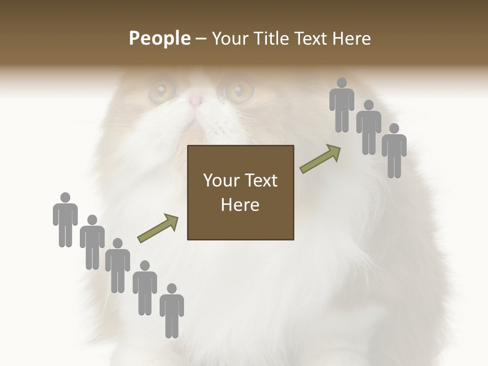 A Brown And White Cat Sitting On Top Of A Table PowerPoint Template