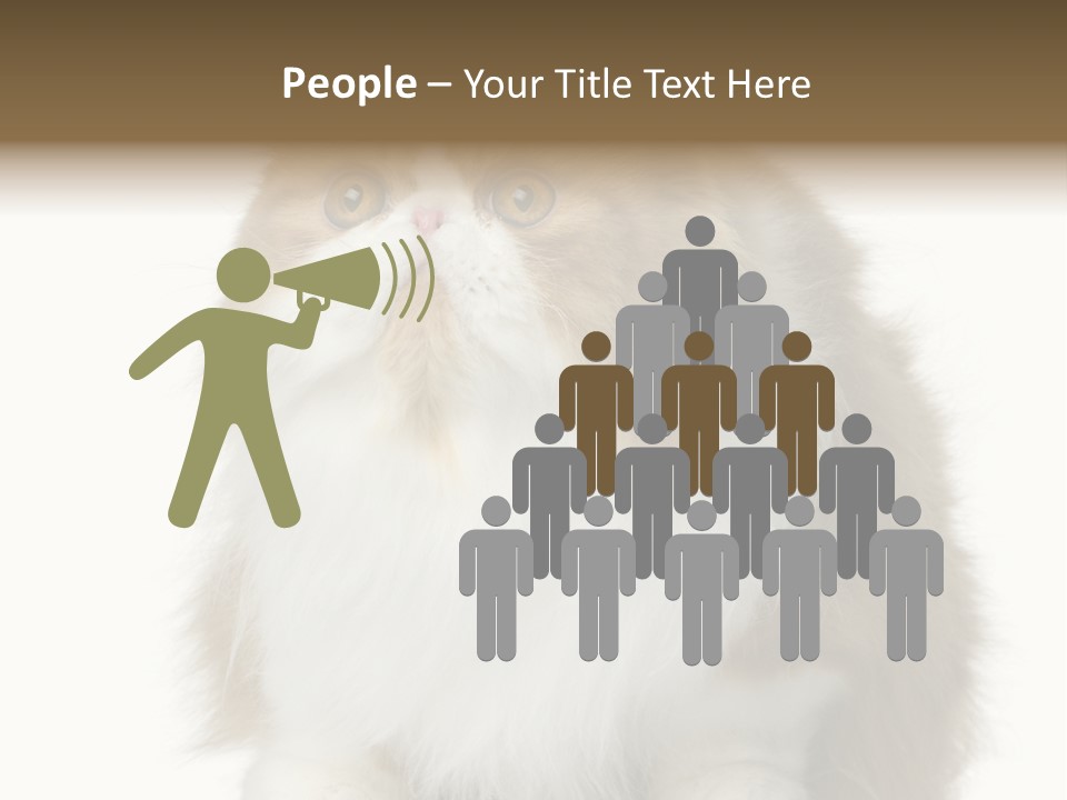 A Brown And White Cat Sitting On Top Of A Table PowerPoint Template