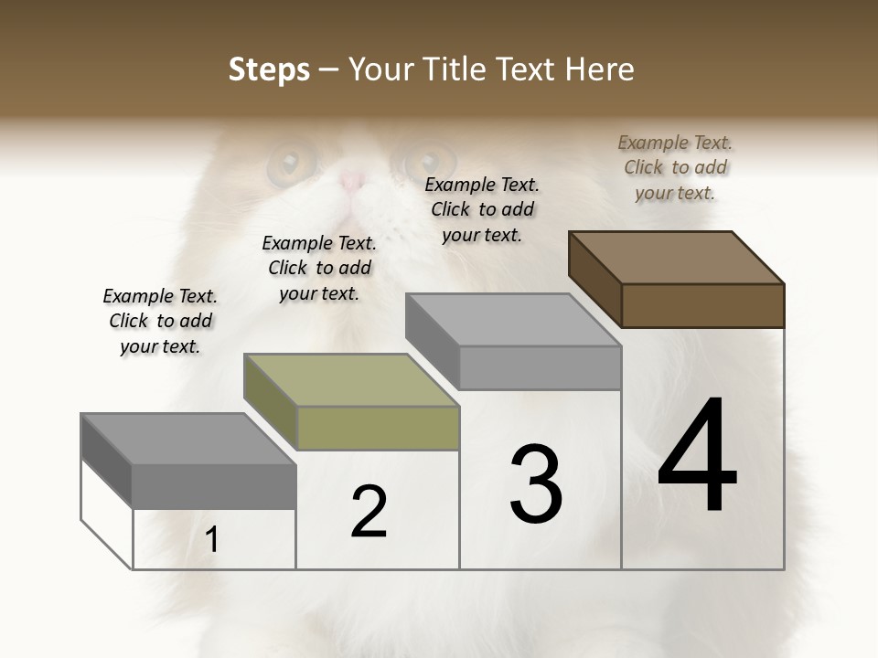 A Brown And White Cat Sitting On Top Of A Table PowerPoint Template