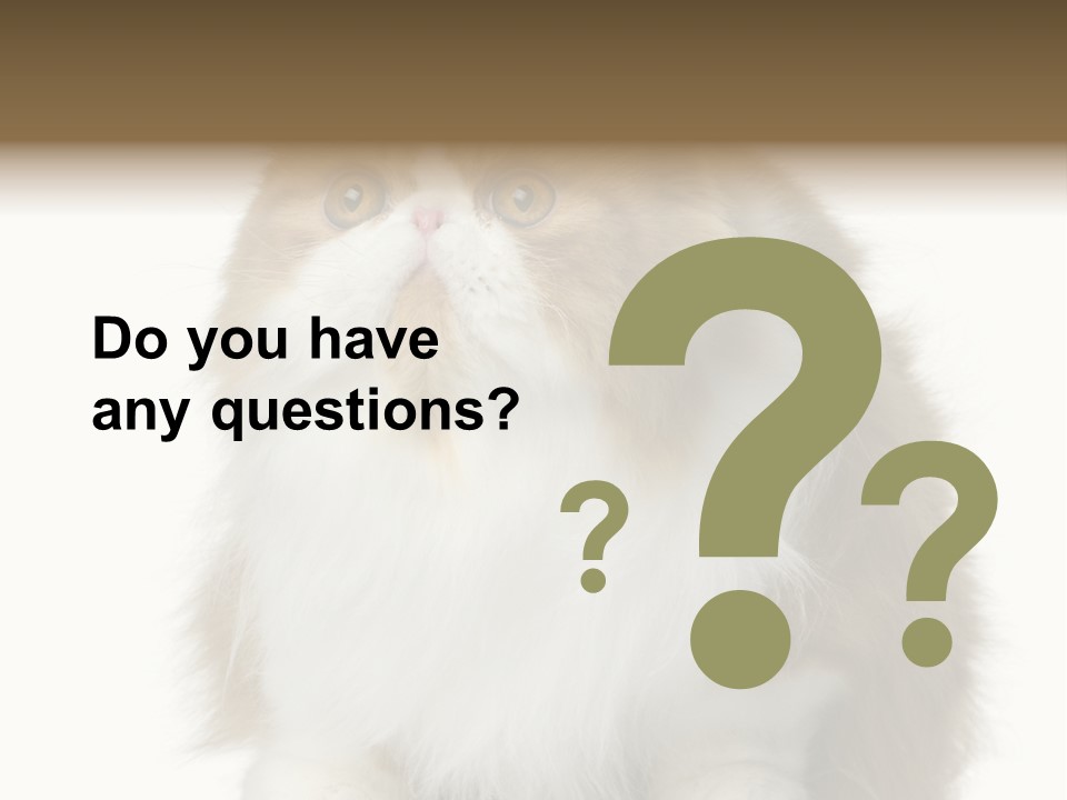 A Brown And White Cat Sitting On Top Of A Table PowerPoint Template