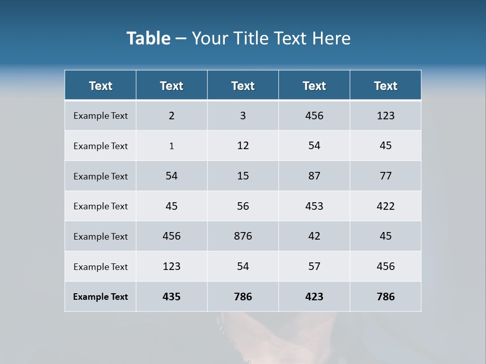 Mccain John Rally PowerPoint Template