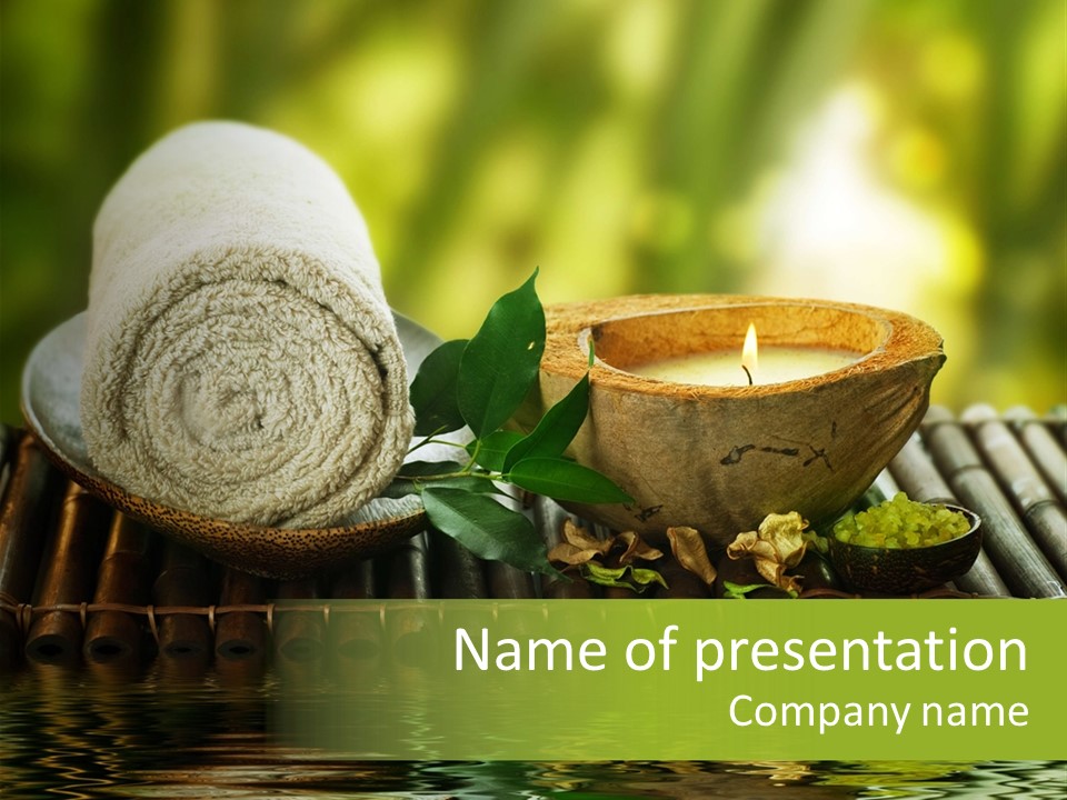 Bamboo Reflection Sunny PowerPoint Template