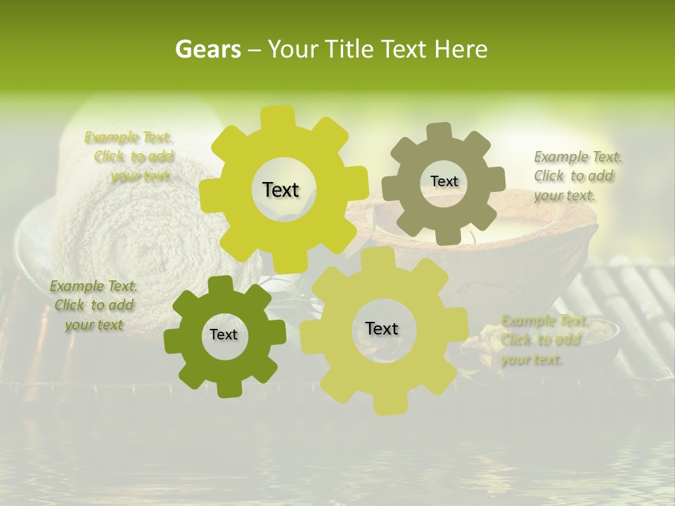 Bamboo Reflection Sunny PowerPoint Template