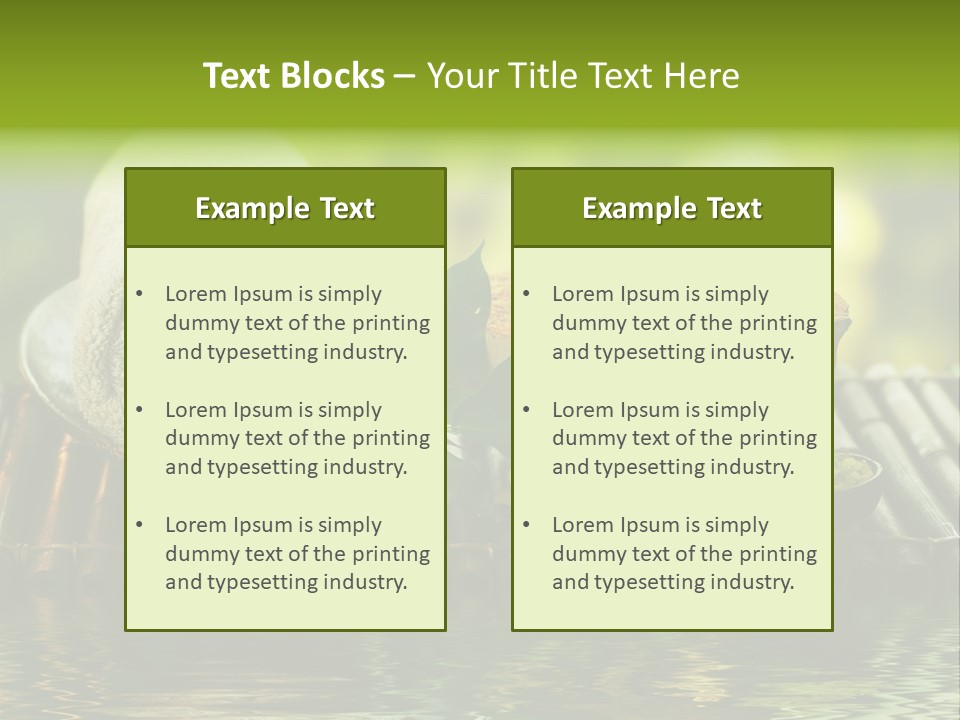Bamboo Reflection Sunny PowerPoint Template