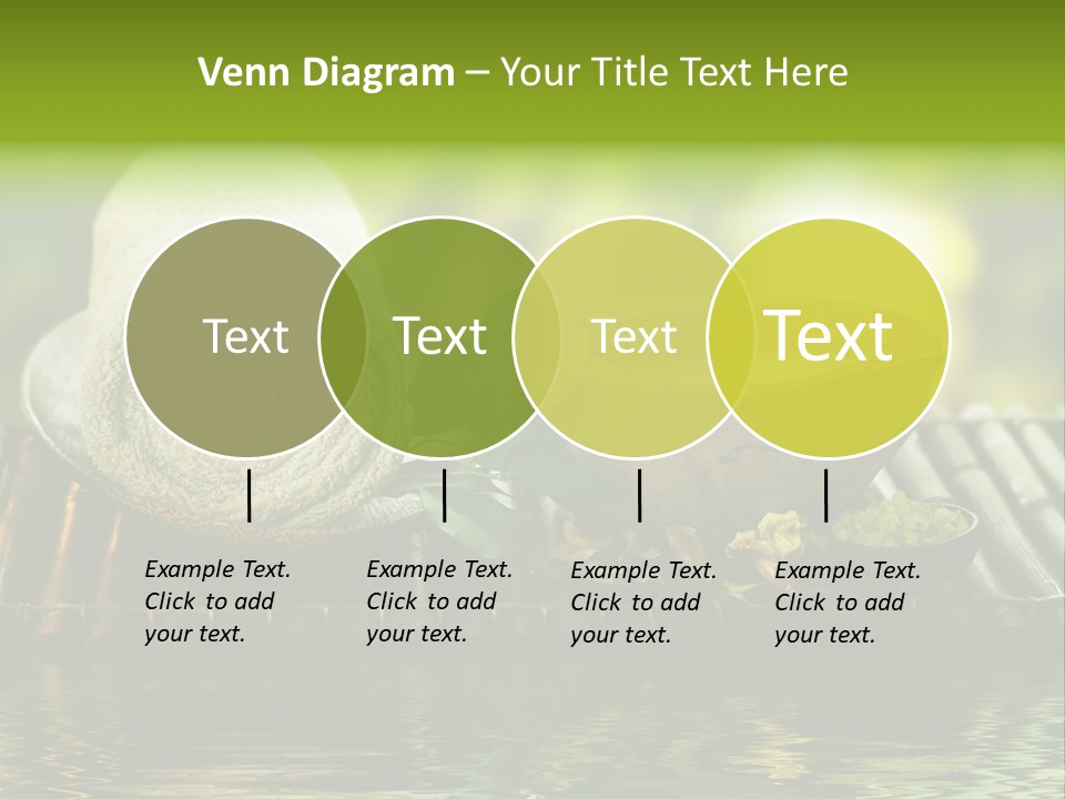 Bamboo Reflection Sunny PowerPoint Template