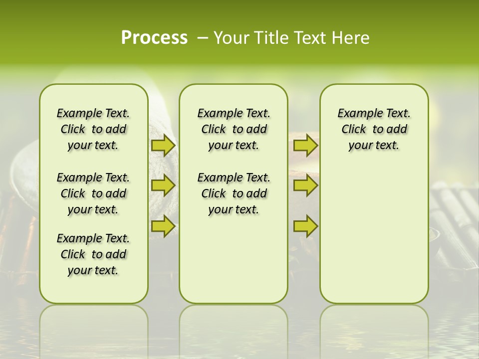 Bamboo Reflection Sunny PowerPoint Template