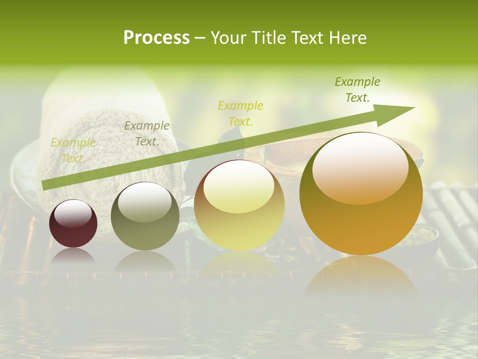 Bamboo Reflection Sunny PowerPoint Template