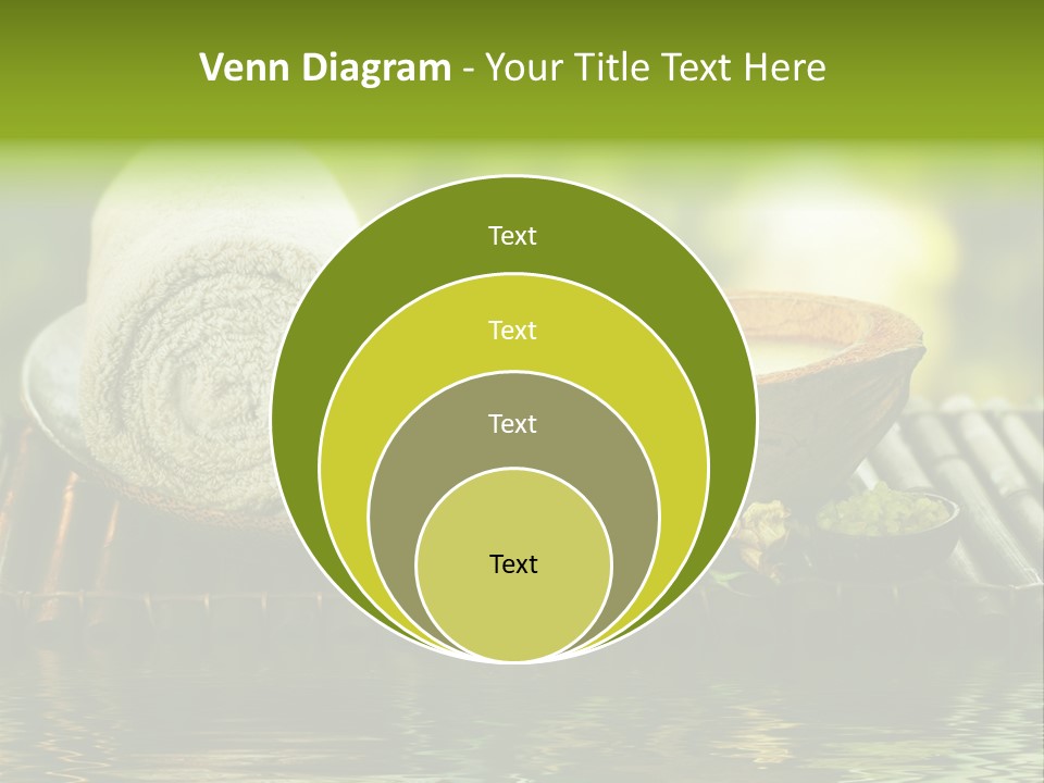 Bamboo Reflection Sunny PowerPoint Template