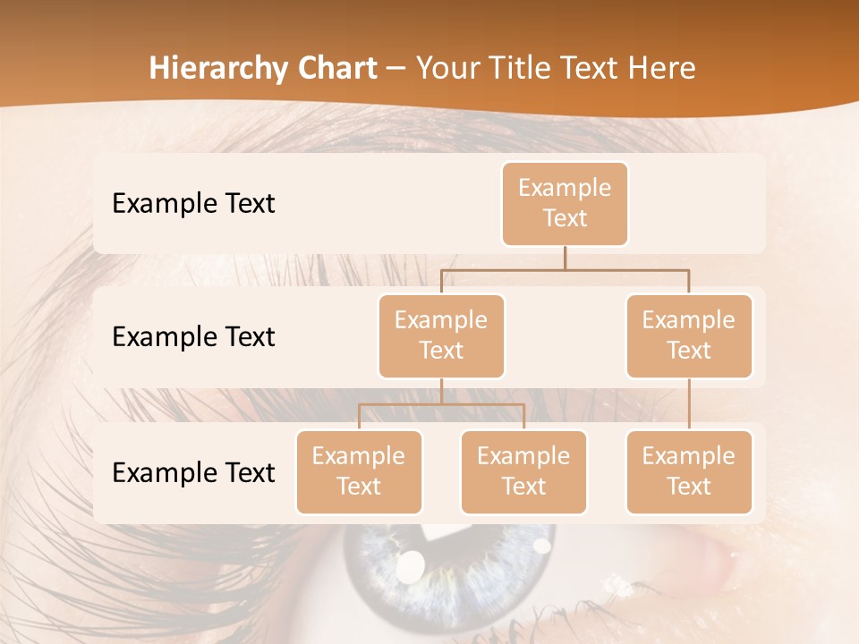 Grey Fit Healthy PowerPoint Template