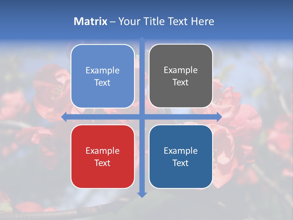 A Branch Of A Flowering Tree With Red Flowers PowerPoint Template