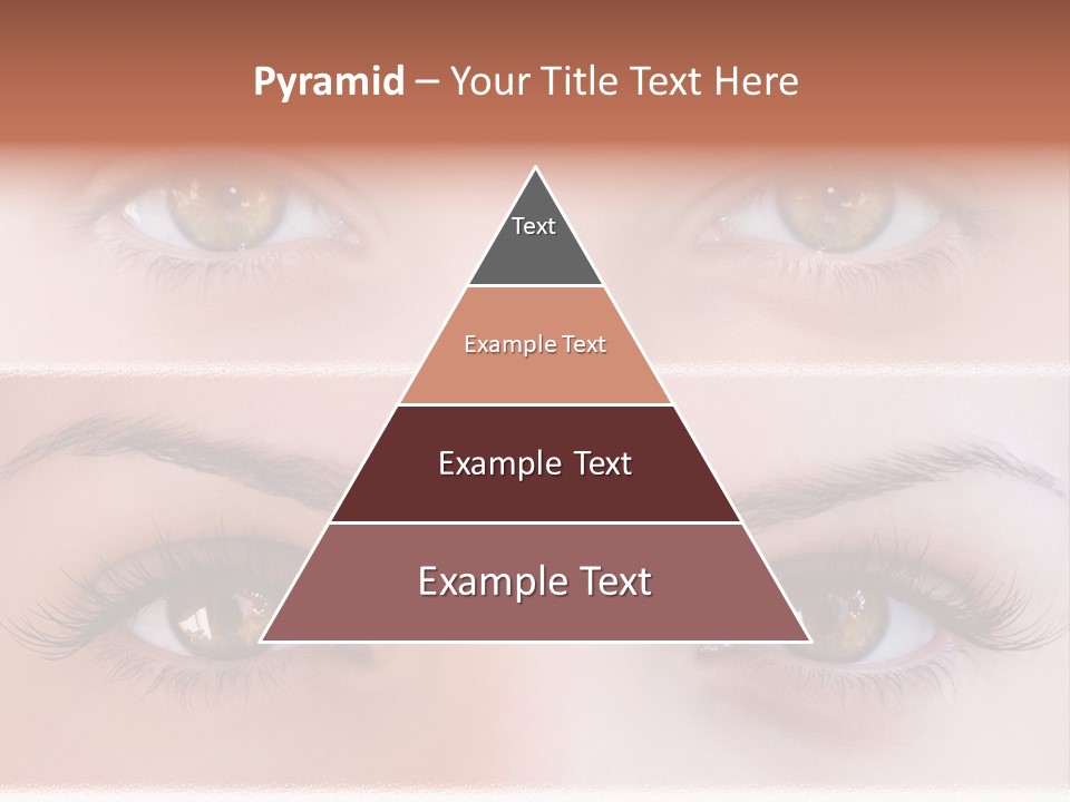 Fashion View Silhouette PowerPoint Template