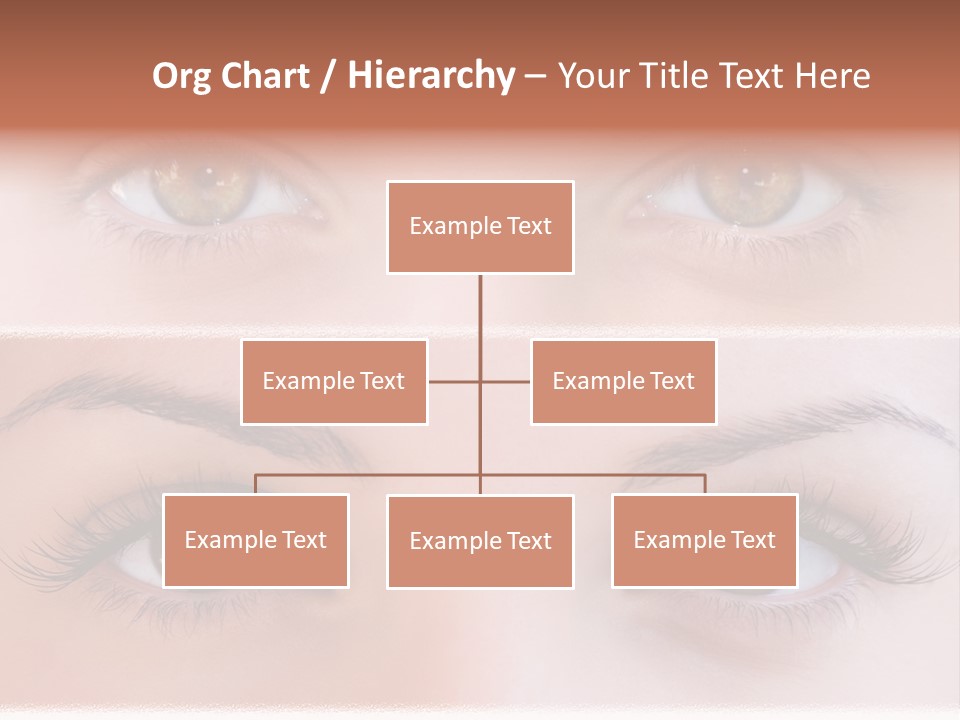 Fashion View Silhouette PowerPoint Template