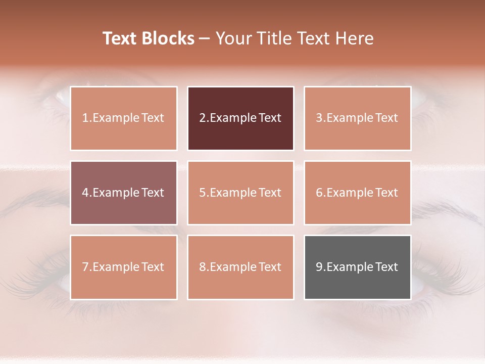 Fashion View Silhouette PowerPoint Template